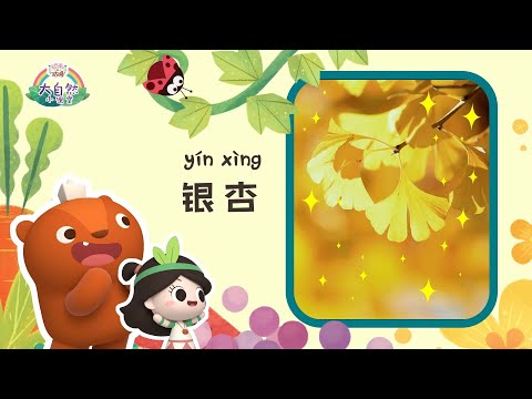 銀杏樹寓意