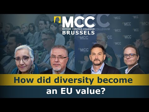 How did diversity become an EU value