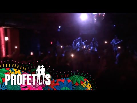 PROFETAS LIVE IN BERLIN "Amor Profetico" [HD]