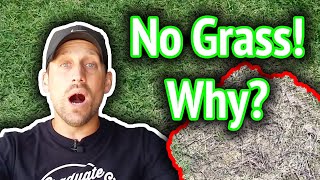 5 Reasons for Bare Spots in the Lawn // Why Your Grass Will Not Grow // Brown Patches on Lawn