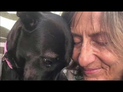 Woman loved working where rescued dog killed her, relative says