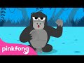 Gorilla Lagu Binatang Hewan Kartun Lagu Anak Pinkfong Dan Baby Shark