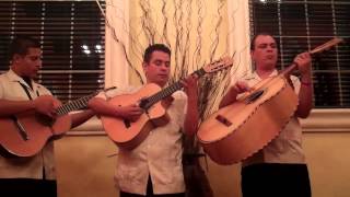 Besame Mucho tocada por el Trio Los Amigos