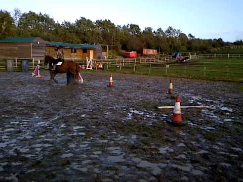 anna liggins on tiger lilly