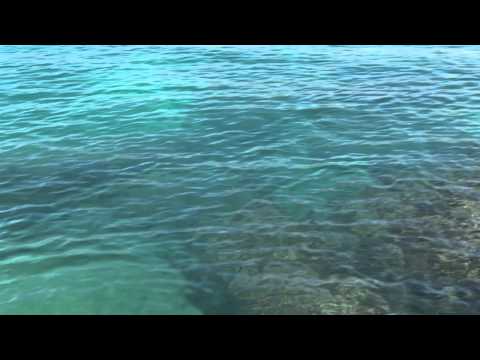 Kastmaster - Fishing Lure by the Acme Tackle Company