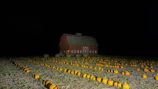 Laurie Anderson - O Superman