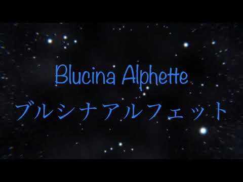 Blucina Alphette Intro