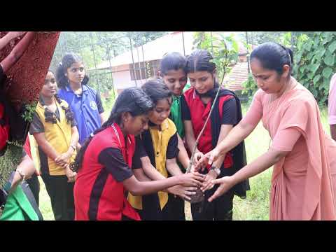 Environment Day 2025 #school #schoolife