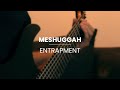 Entrapment riff - Meshuggah cover