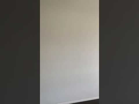 Berkeley 1230 - Video 2 of 2
