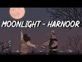 Moonlight Lofi - Harnoor (Lyrics) | Harnoor Lofi Remake | Punjabi Lofi | Latest Punjabi Songs 2022