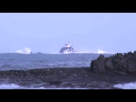 Jull Dajen - Jull Dajen - Pro Anoushku Shankar