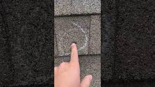 Download lagu Identifying 'Manufactured' Hail Damage | Christian Brothers Roofing | Kansas City mp3 Download lagu Identifying 'Manufactured' Hail Damage | Christian Brothers Roofing | Kansas City mp3