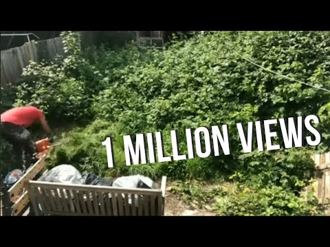 How to clear an overgrown garden - Time lapse