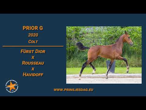 Prior G (Fürst Dior x Rousseau) – www.prinsjesdag.eu