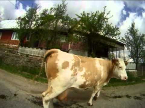 Elisei si Simone la antrenament pe Baisoara