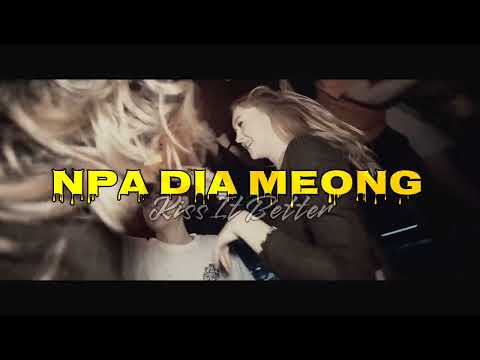 DJ VIRAL‼️ NPA DIA MEONG - KISS IT BETTER ( Nandi Dj X RizalL Mix ) NEW REMIX !!