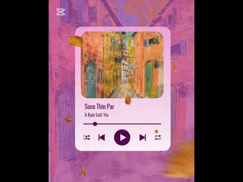 အကြင်နာတကယ်စစ်ရင်(A kyin nar sitt yin) ဆုန်သင်းပါ (Sone Thin pr)