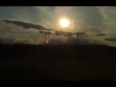 Cats also enjoy moments 