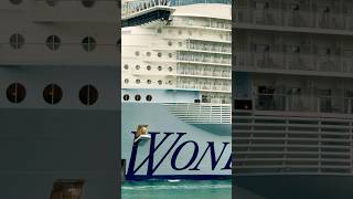 Wonder of the Seas 🛳️ #like #share #comment #subscribe #youtubeshorts #shortvideo #short #shorts