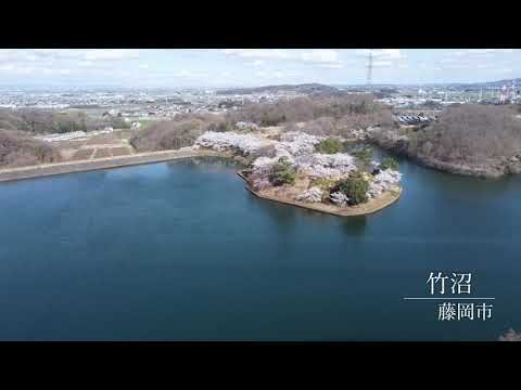 空から見た竹沼