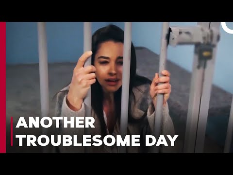 Aslım Gives Her Statement - Can't Stop Loving You