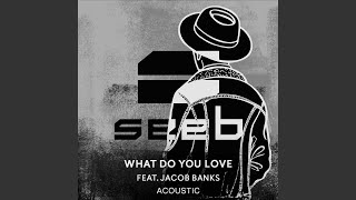 What Do You Love (Acoustic)