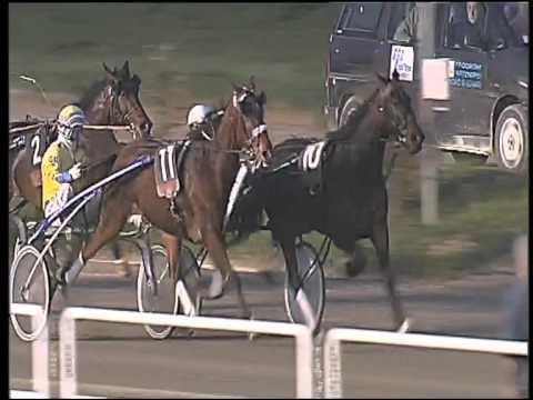 Trotto 26/03/2015 - 7° corsa