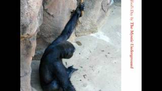 The Mystic Underground - April Fool's Day