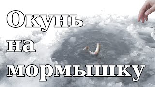 Тверская область озеро покровское рыбалка