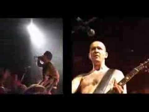 Brigada Flores Magon - Partisans