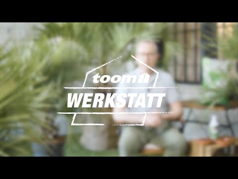 toom Pflanzentipps: Geleepalme (Butia Capitata) | toom Baumarkt