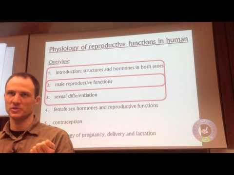 Physio- male reproductive system 1- Semmelweis