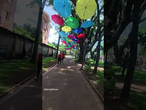 Mais um lindo dia em MG! - #poçosdecaldas #carnaval #turismo #natureza