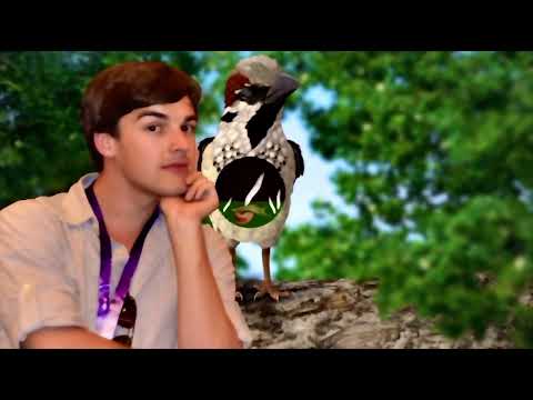 Leucochloridium life cycle (Credit: Matpat)