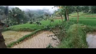 Download lagu DJ Mix Sesah Hilapna 2022 mp3