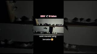 Download lagu Rbw 10 tahun baru sukses mp3