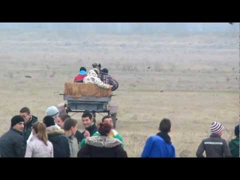 GIURGENI 51 BOBOTEAZA 2012 PART 8 (HD) HORSE RACE