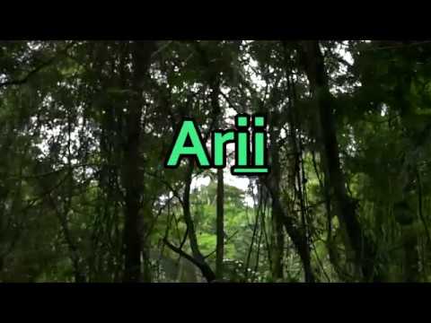 Cómo Pronunciar Rama