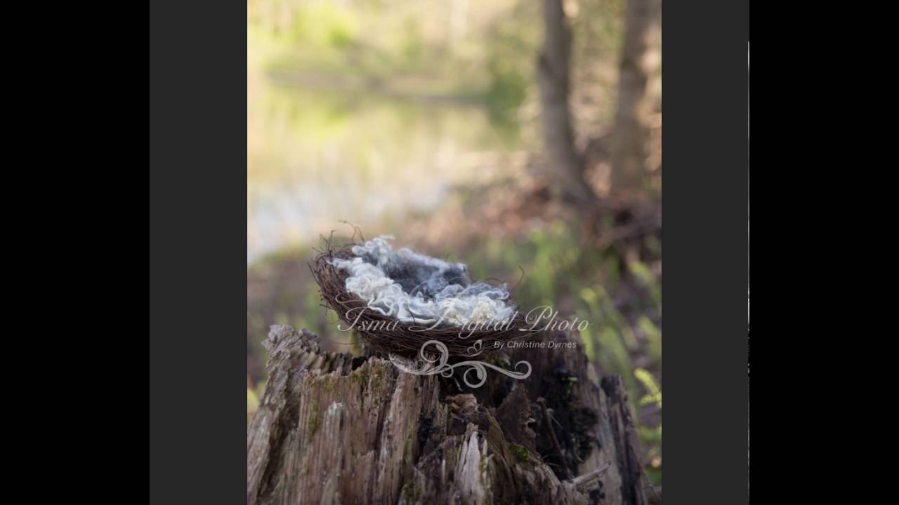 Nest Nature Autumn - Beautiful Digital background Newborn Photography - Psd file with layers