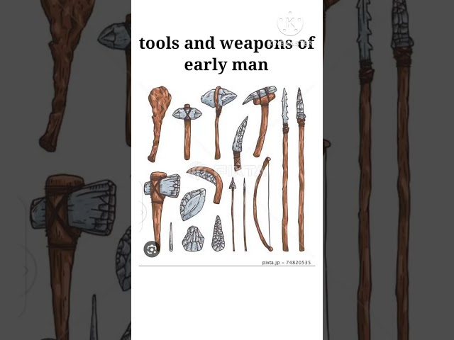 Vídeo relacionado con Caveman, B.C. (before comedy): True stories about the prehistoric era that I just made up (English Edition)
