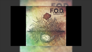 F.O.D.  - There's A Place (where we can go to)