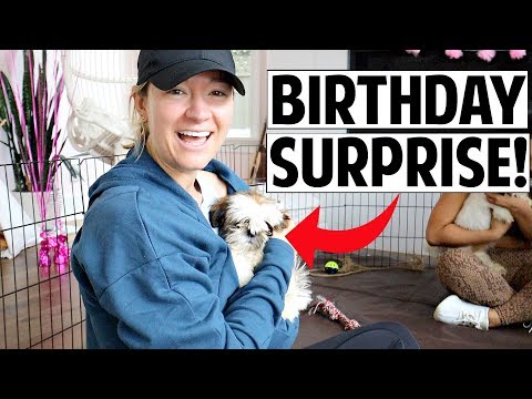 Huge Birthday Puppy Party Surprise! | Ashley Nichole Vlogs Video