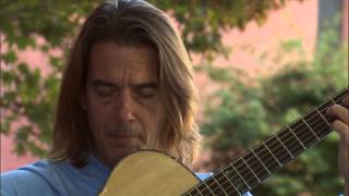 Song of the Kauri - Official Trailer