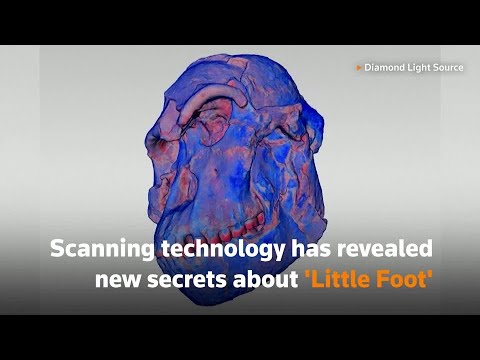 "小腳 "掃描為早期人類提供了新的線索。 ('Little Foot' scans shed new light on early humans)
