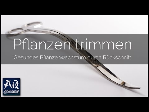 Den See in turzii wo behandeln die Schuppenflechte Die Salbe vom Ekzem den Schwangeren