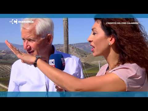 download lagu mp3 mp4 Vini Calabria, download lagu Vini Calabria gratis, unduh video klip Vini Calabria