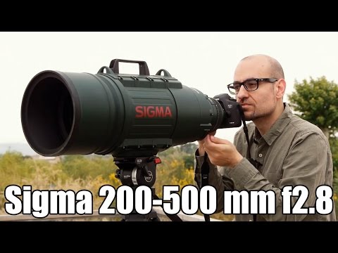 Sigma 200-500 mm f2.8: análisis