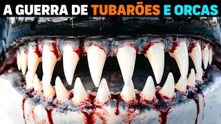 🚨 Tubarões e Orcas EM GUERRA no oceano MAIS VIOLENTO do mundo | Oceano Pacífico