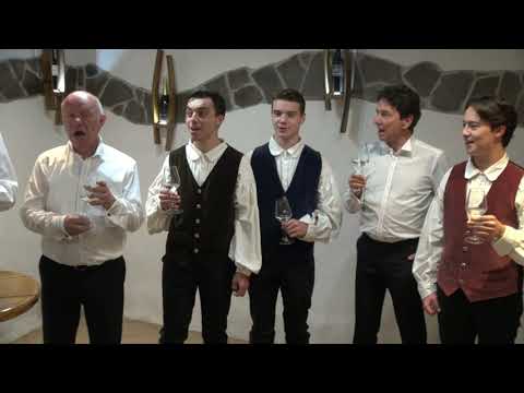 Prifarci in Sotoški - Majolka bod pozdravljena (v živo)